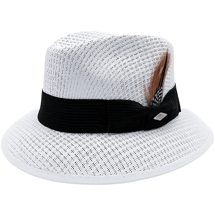 Viejo - Whittier Collection - White