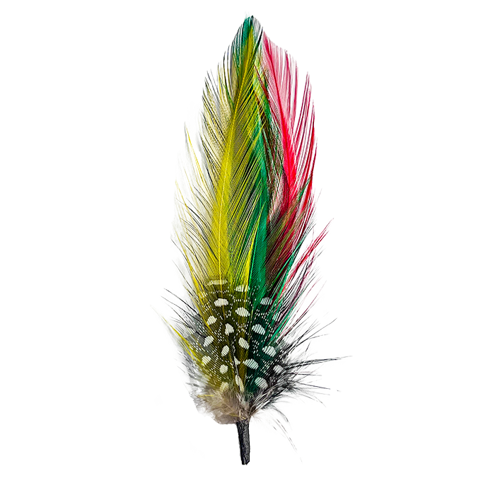 4" Premium Side Feather - Yellow, Green, & Red - 1 Dozen Pack