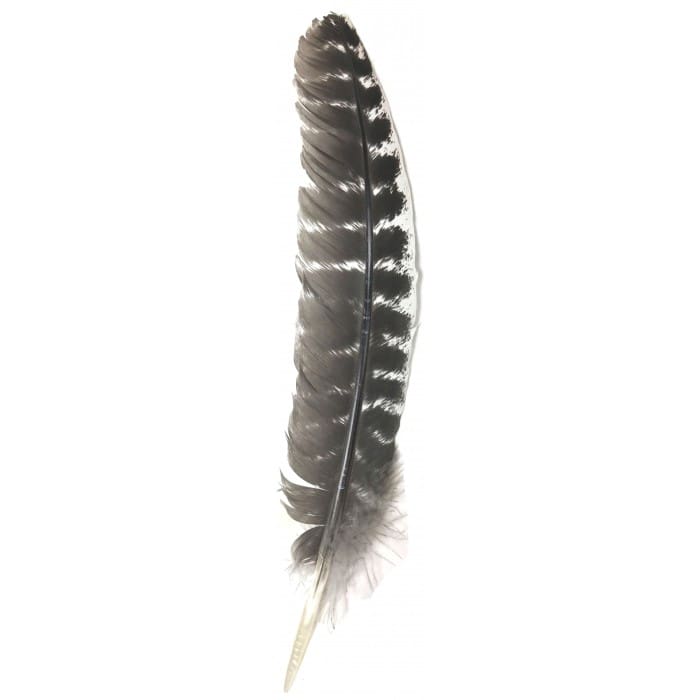 Turkey Feather Wing 10"-12"
