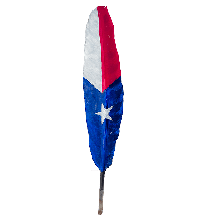 Texas Flag Turkey Feather Wing 10"-12"